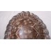 Sea Turtle Shell Hand Painted Metal Sculpture Beach Realistic BIG 3 lbs 15"X10"   202357659340